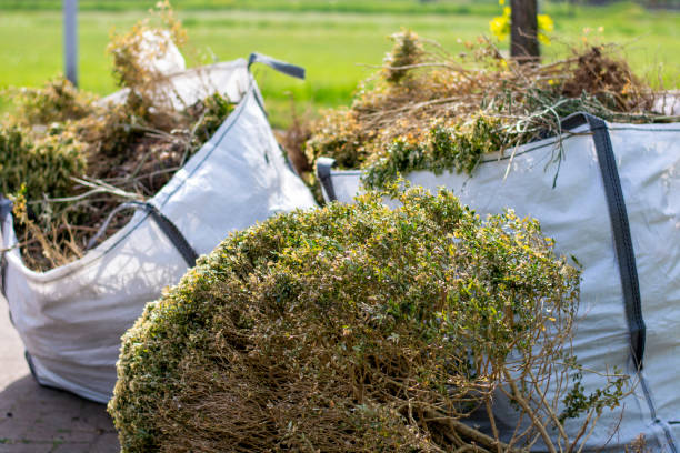  French Valley, CA Junk Removal Pros